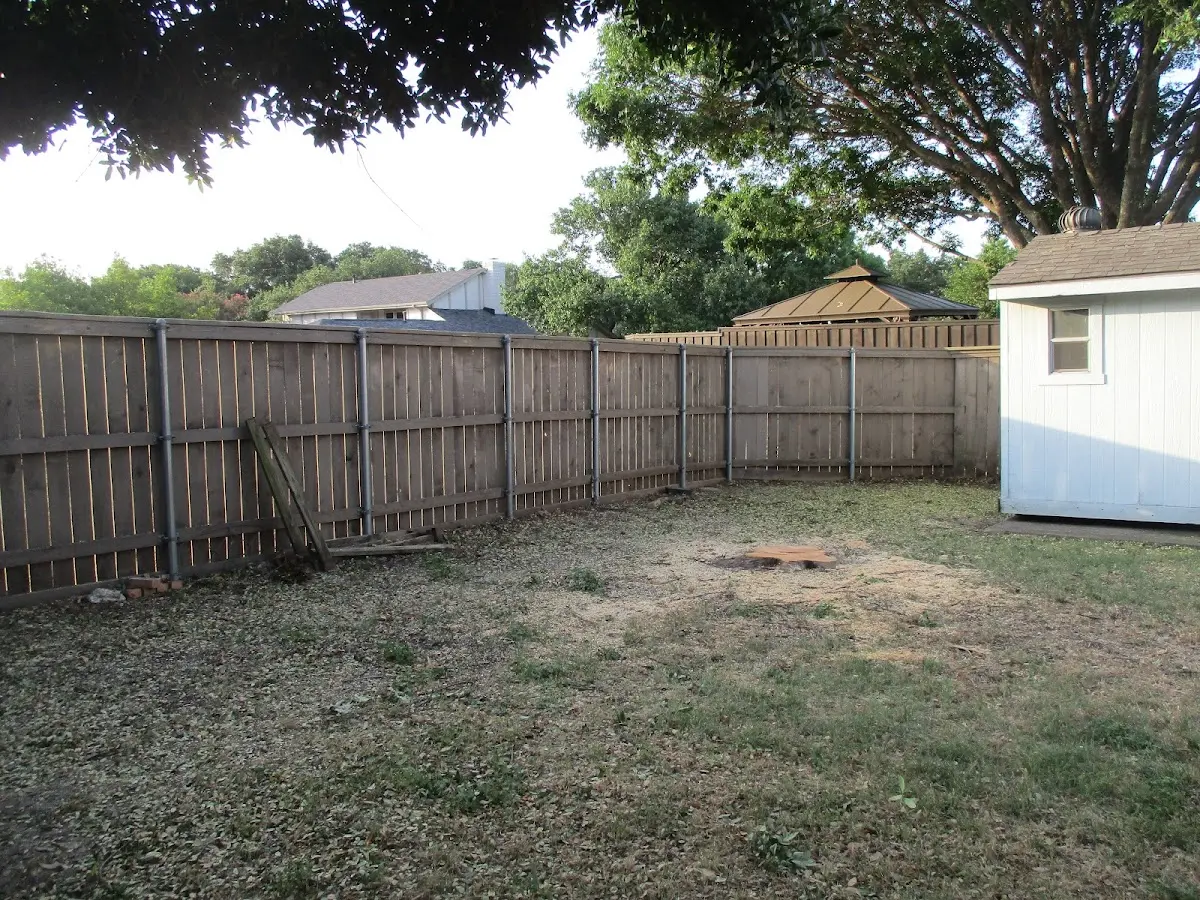 Cleared yard after professional tree removal in Dale